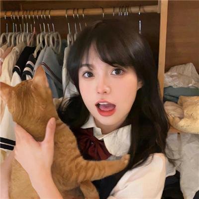 猫儿历险记